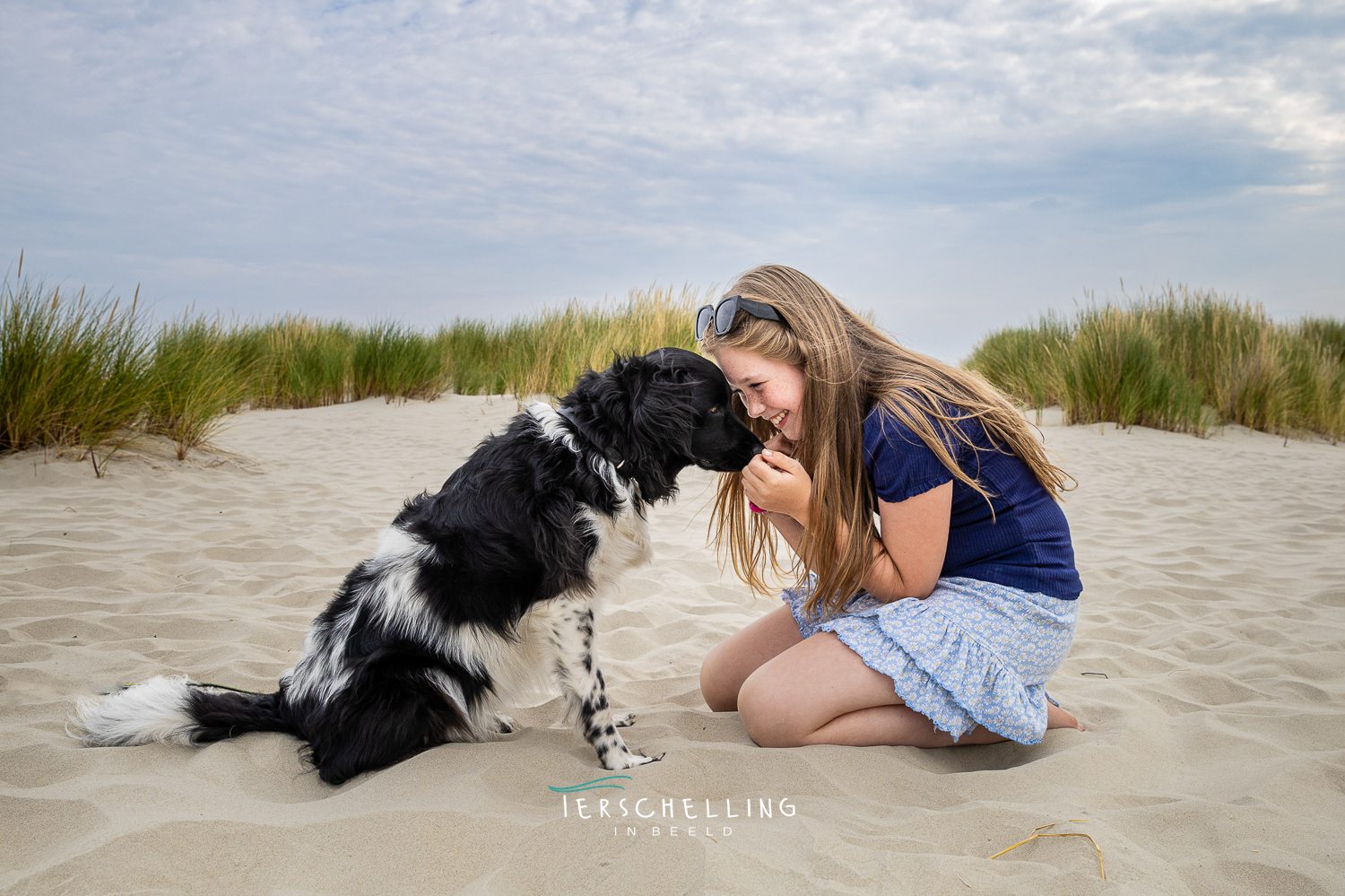 hondenfotografie terschelling