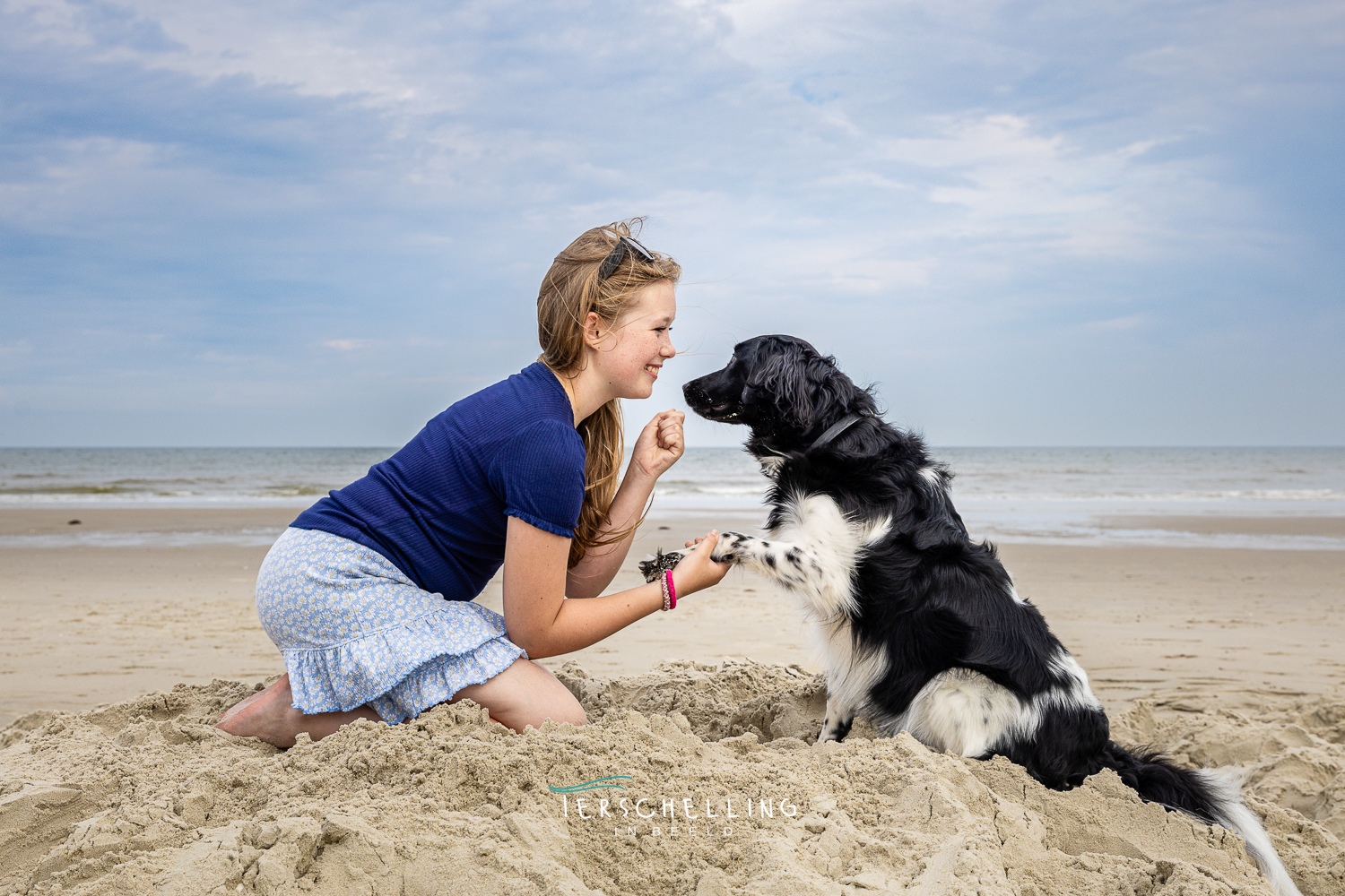 hondenfotografie terschelling