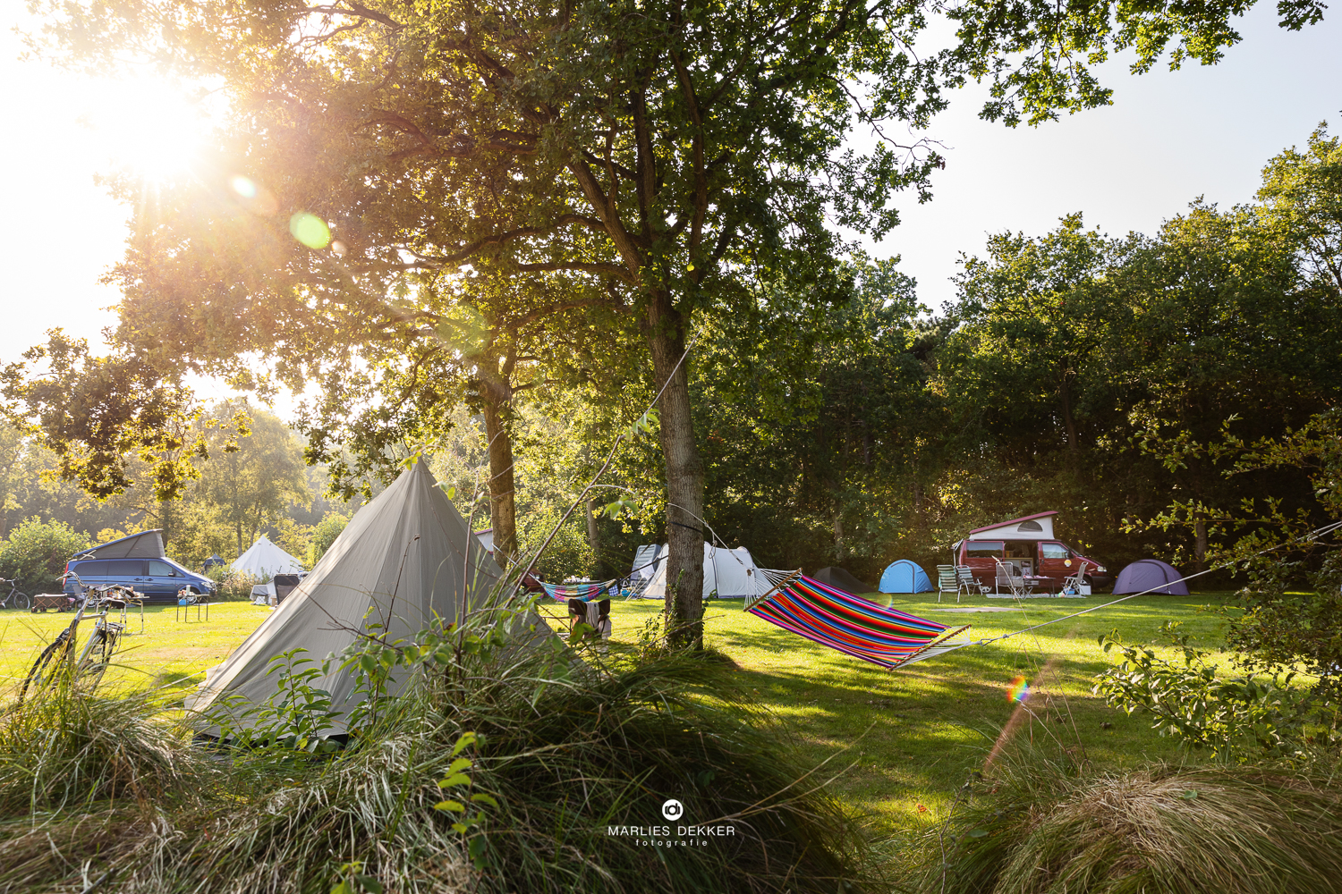 Festivalbruiloft op Terschelling