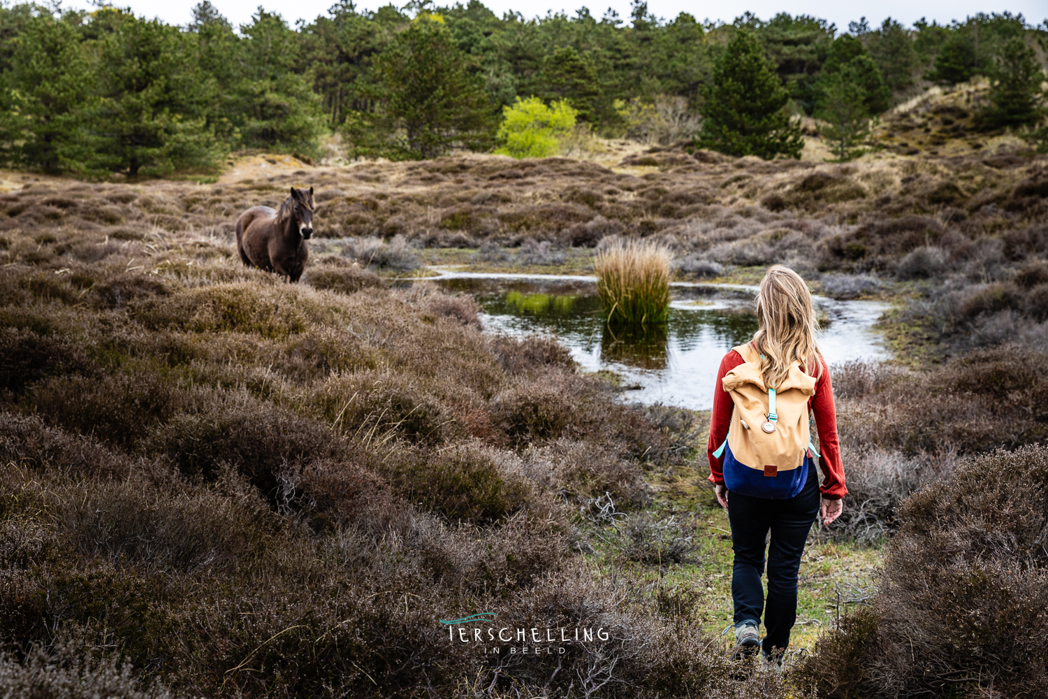 walk of grief terschelling