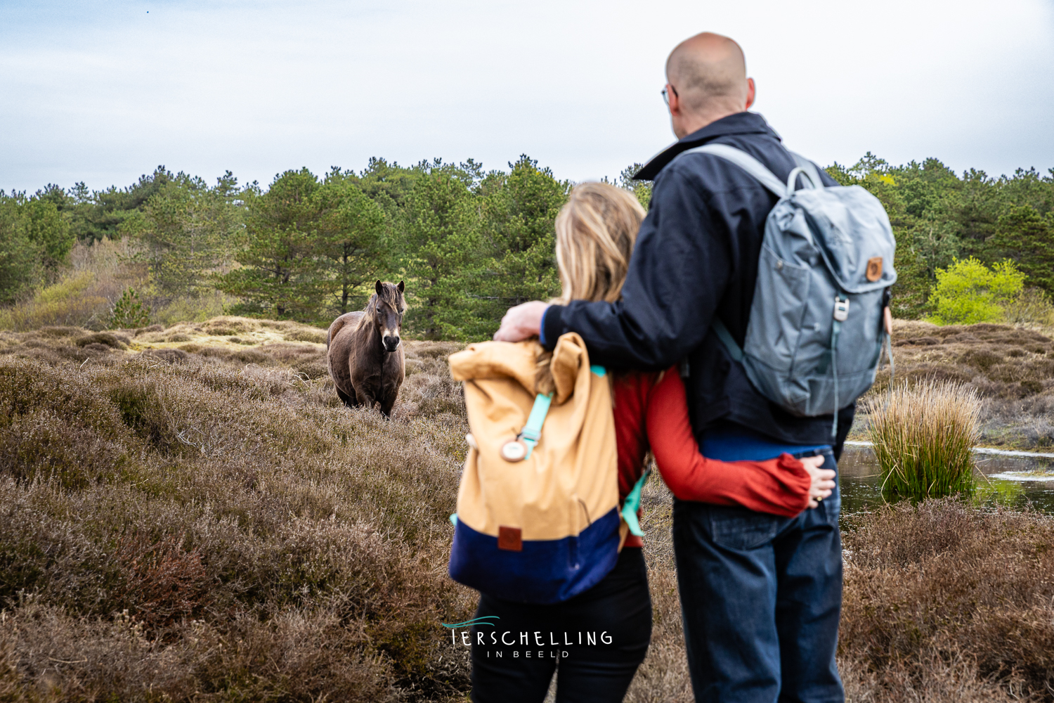 walk of grief terschelling