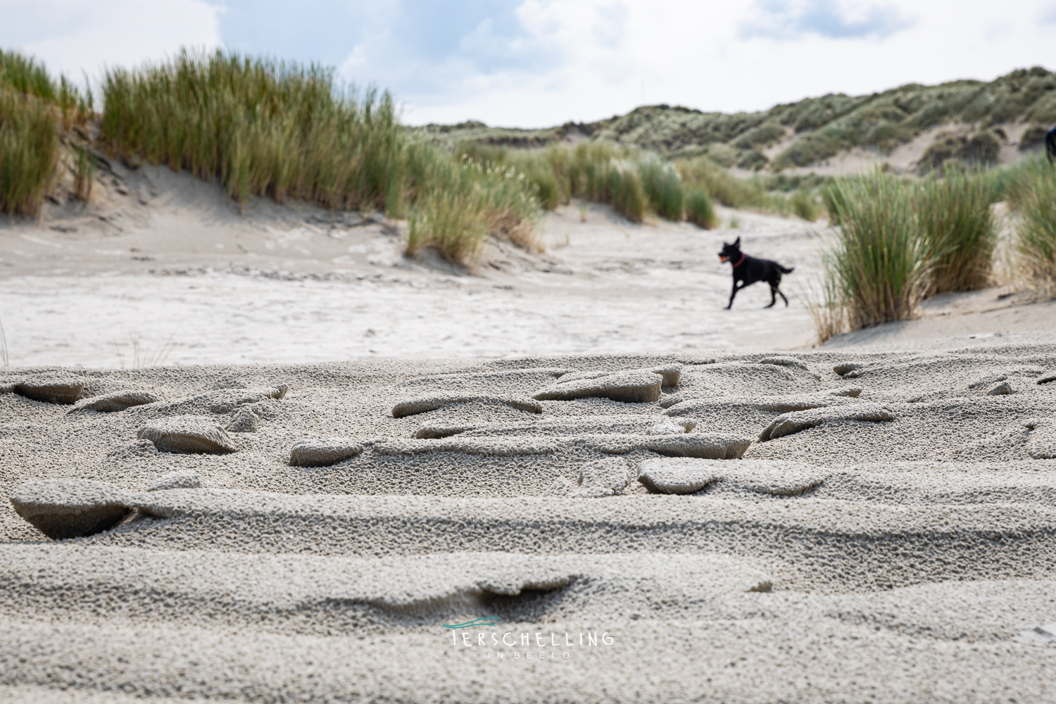 familie fotoshoot op terschelling fotograaf