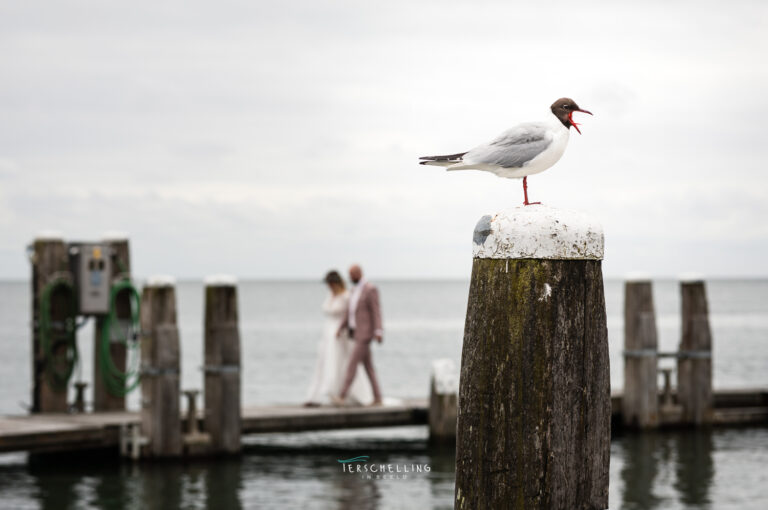 trouwen op terschelling fotograaf