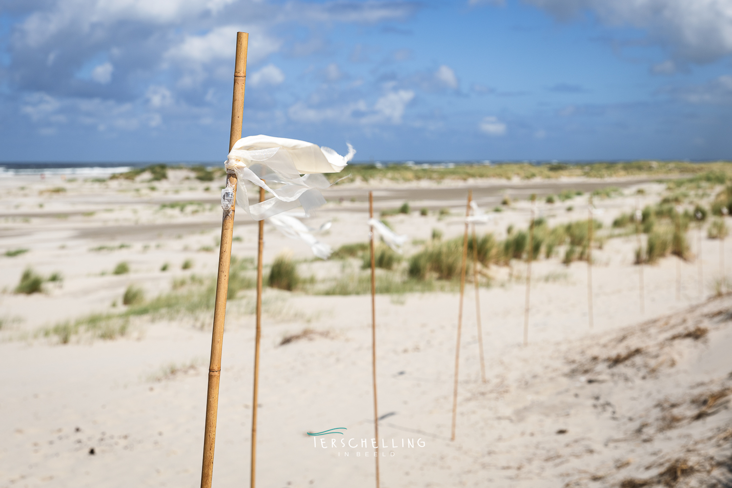 Trouwen bij de Zandzeebar op Terschelling, de aankleding in beeld