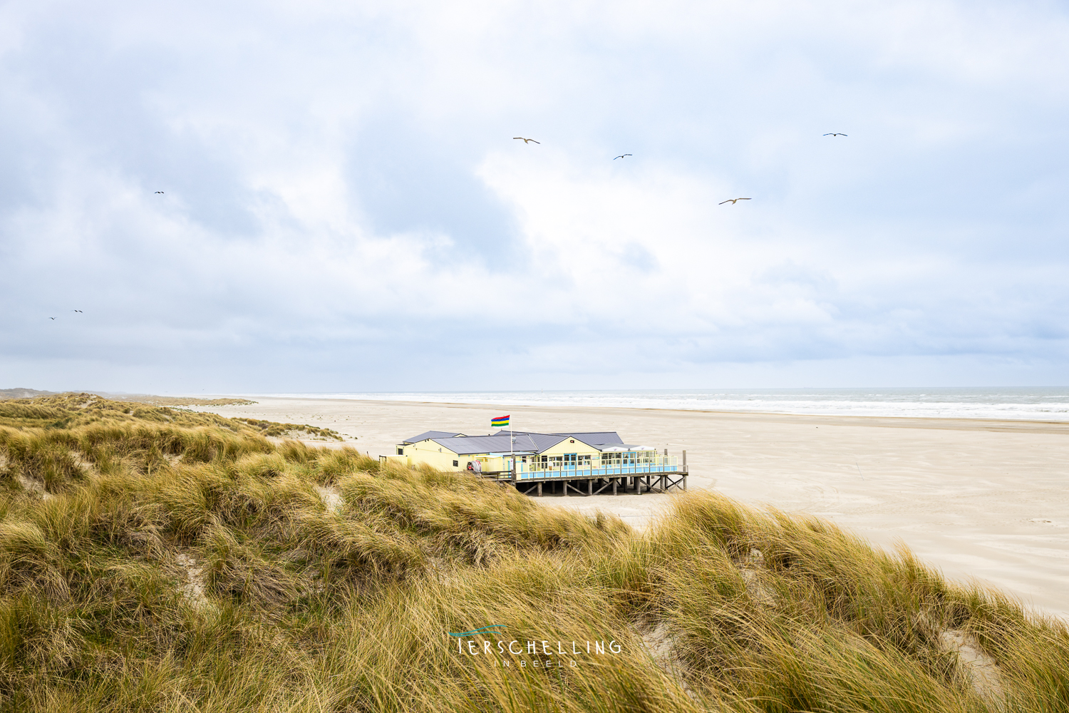 Heartbreak Hotel Oosterend Terschelling