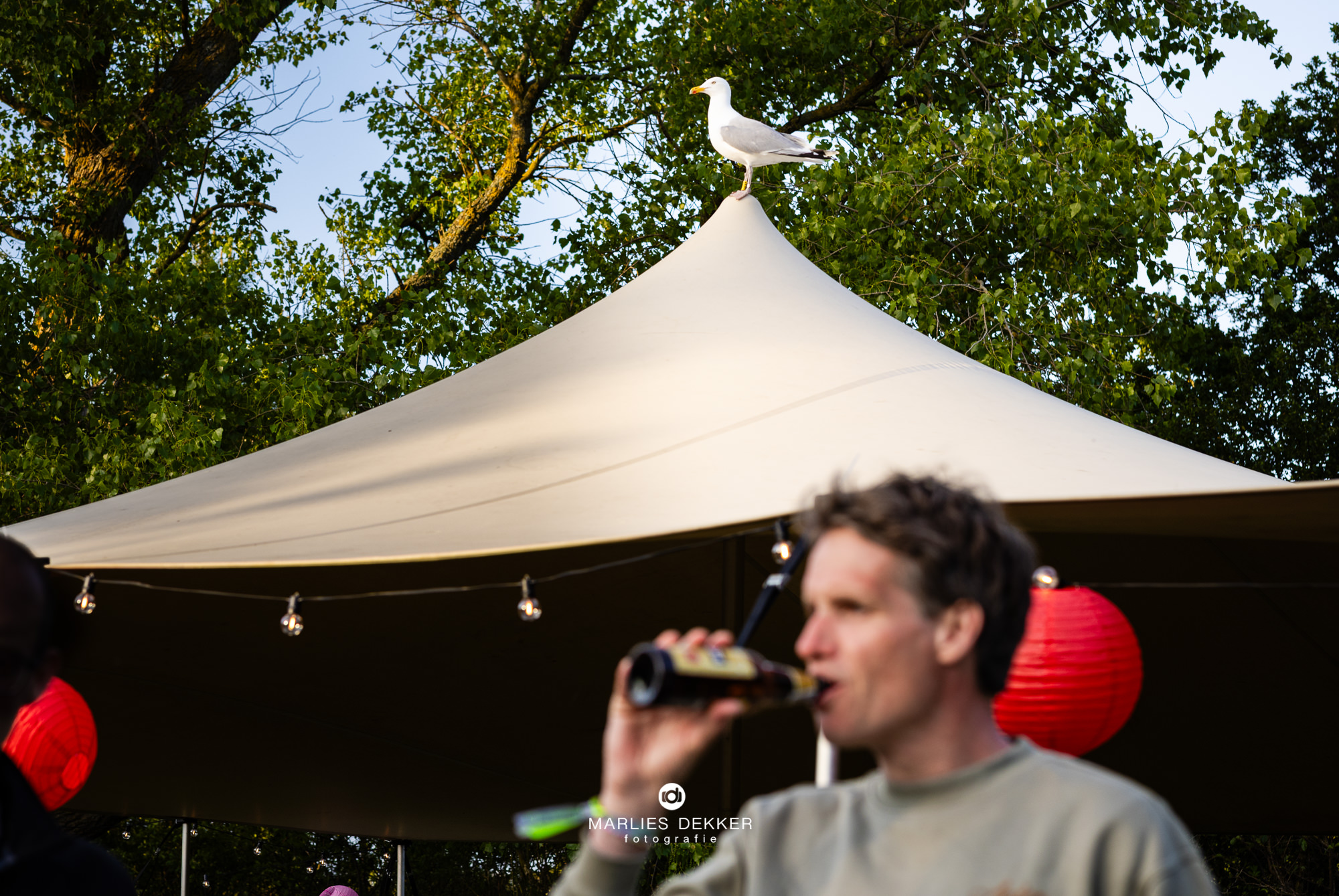 Festivalbruiloft Terschelling, trouwen op de camping